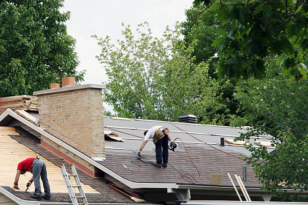 Best Roof Maintenance Services  in Petersburg, AK