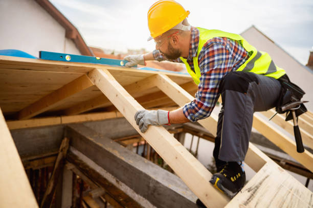 Best Roof Gutter Cleaning  in Petersburg, AK