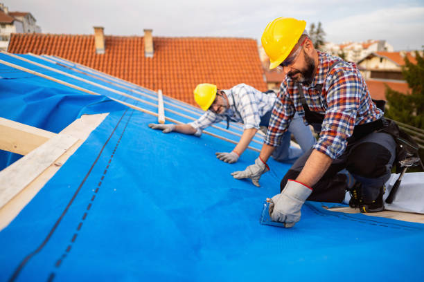 Best Roof Restoration Services  in Petersburg, AK
