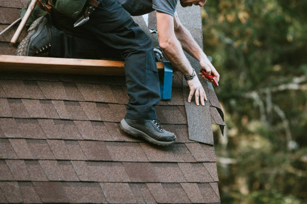 Professional Roofing Contractor in Petersburg, AK
